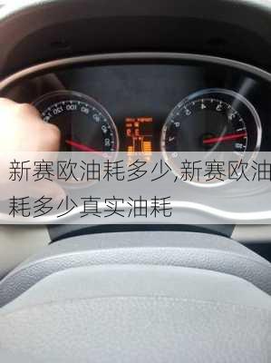 新赛欧油耗多少,新赛欧油耗多少真实油耗
