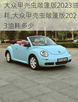 大众甲壳虫敞篷版2023油耗,大众甲壳虫敞篷版2023油耗多少