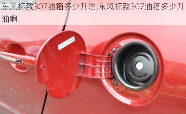 东风标致307油箱多少升油,东风标致307油箱多少升油啊