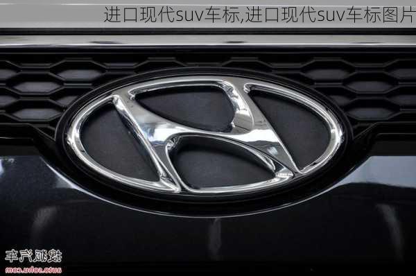 进口现代suv车标,进口现代suv车标图片