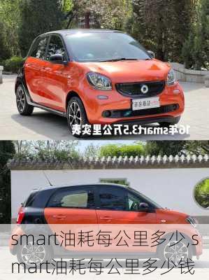 smart油耗每公里多少,smart油耗每公里多少钱
