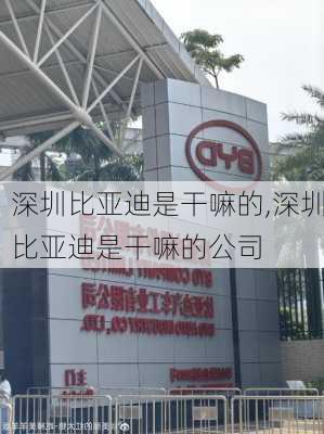 深圳比亚迪是干嘛的,深圳比亚迪是干嘛的公司