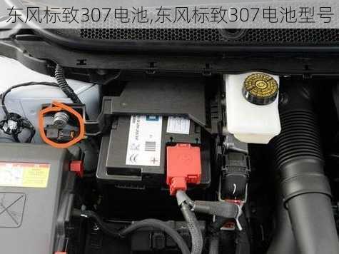 东风标致307电池,东风标致307电池型号