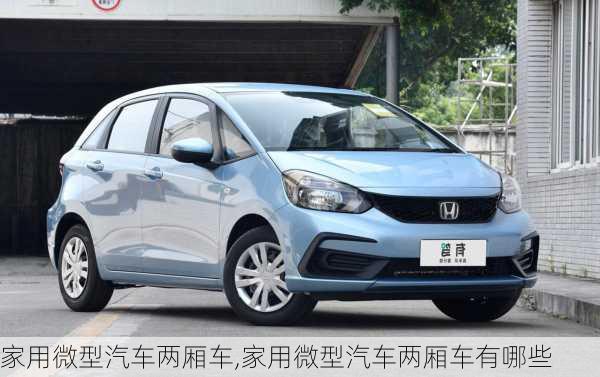 家用微型汽车两厢车,家用微型汽车两厢车有哪些