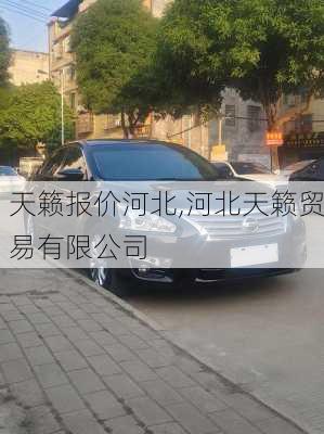 天籁报价河北,河北天籁贸易有限公司