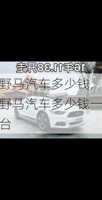 野马汽车多少钱,野马汽车多少钱一台