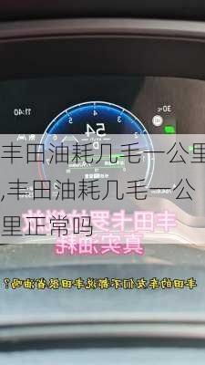 丰田油耗几毛一公里,丰田油耗几毛一公里正常吗
