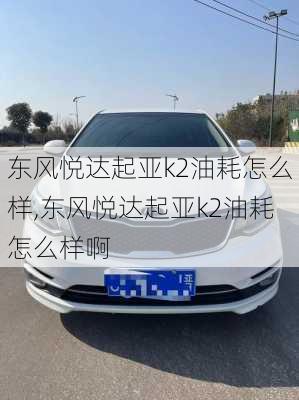 东风悦达起亚k2油耗怎么样,东风悦达起亚k2油耗怎么样啊