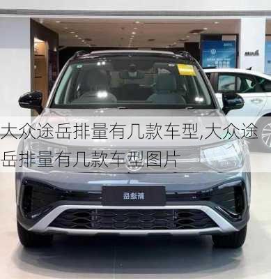 大众途岳排量有几款车型,大众途岳排量有几款车型图片