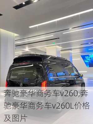 奔驰豪华商务车v260,奔驰豪华商务车v260L价格及图片