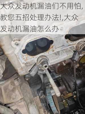 大众发动机漏油们不用怕,教您五招处理办法!,大众发动机漏油怎么办
