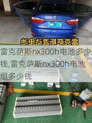雷克萨斯nx300h电池多少钱,雷克萨斯nx300h电池组多少钱