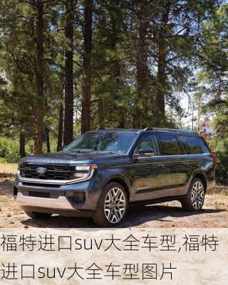 福特进口suv大全车型,福特进口suv大全车型图片