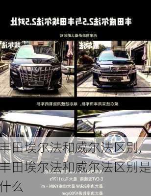 丰田埃尔法和威尔法区别,丰田埃尔法和威尔法区别是什么