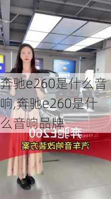 奔驰e260是什么音响,奔驰e260是什么音响品牌
