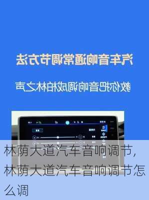 林荫大道汽车音响调节,林荫大道汽车音响调节怎么调