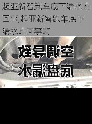 起亚新智跑车底下漏水咋回事,起亚新智跑车底下漏水咋回事啊