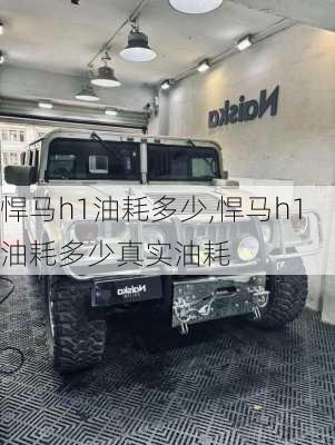 悍马h1油耗多少,悍马h1油耗多少真实油耗