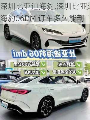深圳比亚迪海豹,深圳比亚迪海豹06DMi订车多久能到