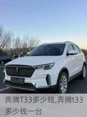 奔腾T33多少钱,奔腾t33多少钱一台