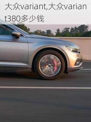大众variant,大众variant380多少钱