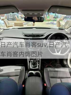 日产汽车肖客suv,日产汽车肖客内饰图片