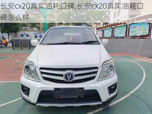 长安cx20真实油耗口碑,长安cx20真实油耗口碑怎么样