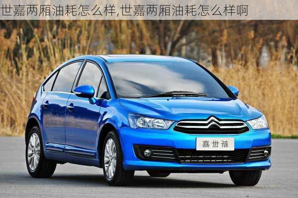 世嘉两厢油耗怎么样,世嘉两厢油耗怎么样啊