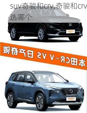 suv奇骏和crv,奇骏和crv选哪个