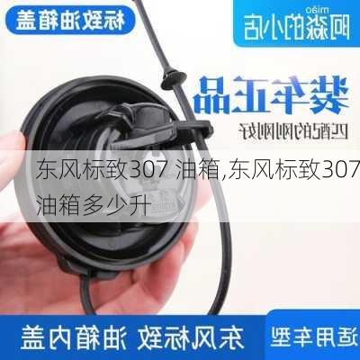 东风标致307 油箱,东风标致307油箱多少升