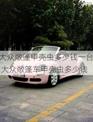 大众敞篷甲壳虫多少钱一台,大众敞篷车甲壳虫多少钱