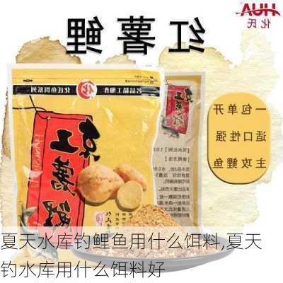 夏天水库钓鲤鱼用什么饵料,夏天钓水库用什么饵料好