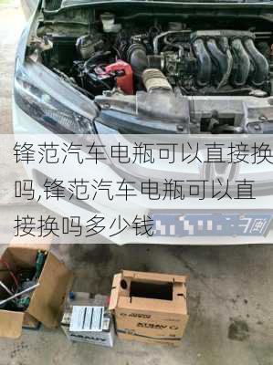 锋范汽车电瓶可以直接换吗,锋范汽车电瓶可以直接换吗多少钱