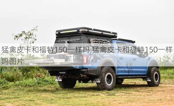 猛禽皮卡和福特150一样吗,猛禽皮卡和福特150一样吗图片