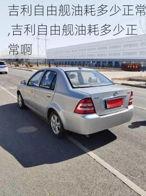 吉利自由舰油耗多少正常,吉利自由舰油耗多少正常啊