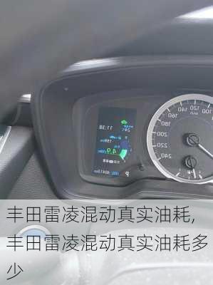 丰田雷凌混动真实油耗,丰田雷凌混动真实油耗多少