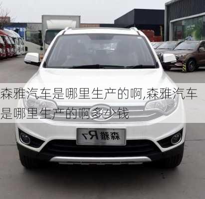 森雅汽车是哪里生产的啊,森雅汽车是哪里生产的啊多少钱