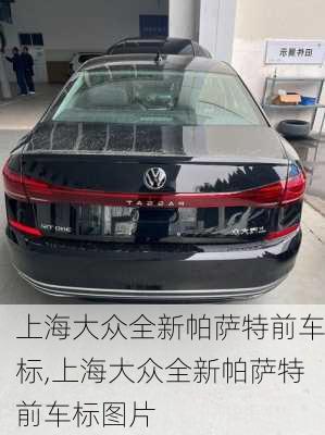 上海大众全新帕萨特前车标,上海大众全新帕萨特前车标图片