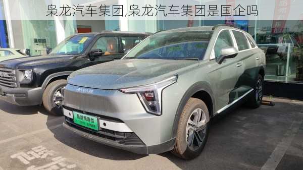 枭龙汽车集团,枭龙汽车集团是国企吗