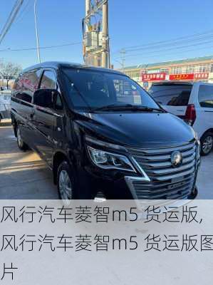 风行汽车菱智m5 货运版,风行汽车菱智m5 货运版图片