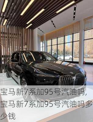 宝马新7系加95号汽油吗,宝马新7系加95号汽油吗多少钱