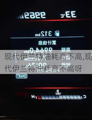现代伊兰特油耗高不高,现代伊兰特油耗高不高呀