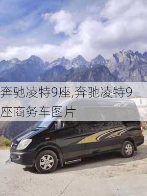 奔驰凌特9座,奔驰凌特9座商务车图片